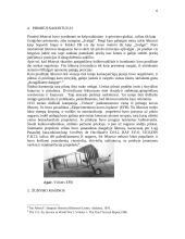 Lėktuvai pirmajame pasauliniame kare: žvalgybiniai, bombonešiai ir kiti 6 puslapis