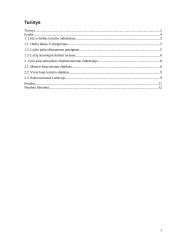 Lyčių aspektas turizmo industrijoje 2 puslapis