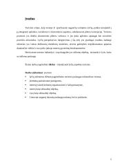 Lyčių aspektas turizmo industrijoje 3 puslapis