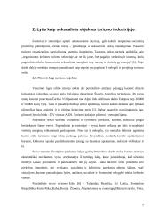 Lyčių aspektas turizmo industrijoje 7 puslapis