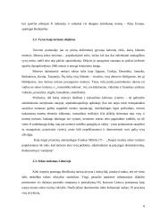 Lyčių aspektas turizmo industrijoje 8 puslapis