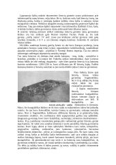 Lietuva XII - XV amžiuje 2 puslapis