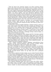 Lietuva XII - XV amžiuje 3 puslapis