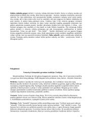 Lietuviškos vestuvės 11 puslapis