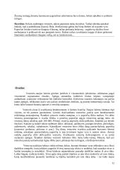 Lietuviškos vestuvės 12 puslapis