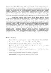 Lietuviškos vestuvės 13 puslapis