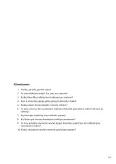 Lietuviškos vestuvės 14 puslapis