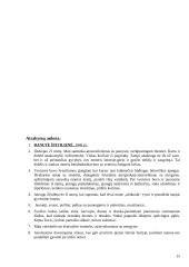 Lietuviškos vestuvės 15 puslapis