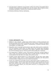 Lietuviškos vestuvės 16 puslapis