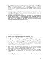 Lietuviškos vestuvės 17 puslapis