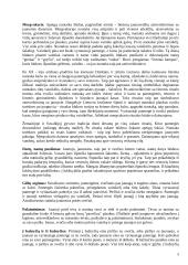 Lietuviškos vestuvės 5 puslapis