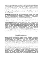 Lietuviškos vestuvės 6 puslapis