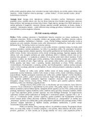 Lietuviškos vestuvės 7 puslapis