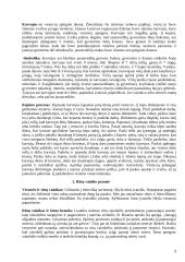 Lietuviškos vestuvės 9 puslapis