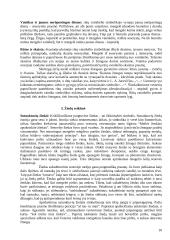 Lietuviškos vestuvės 10 puslapis