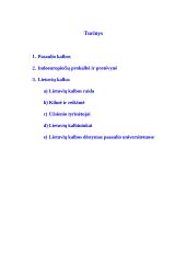 Lietuvių kalba. Lietuvių kalbos dėstymas užsienio universitetuose 12 puslapis