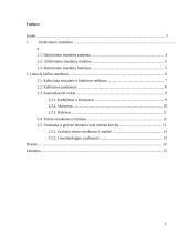 Lietuvių kalbos standartai 2 puslapis