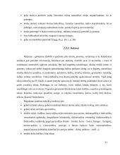 Lietuvių kalbos standartai 11 puslapis