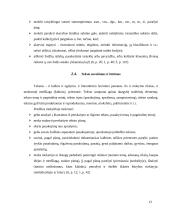 Lietuvių kalbos standartai 12 puslapis