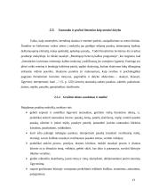 Lietuvių kalbos standartai 13 puslapis