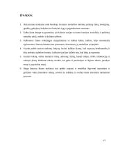 Lietuvių kalbos standartai 15 puslapis