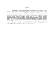 Lietuvių papuošalai IX-XII amžiuje 2 puslapis