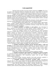 Lietuvių papuošalai IX-XII amžiuje 3 puslapis