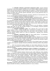 Lietuvių papuošalai IX-XII amžiuje 4 puslapis