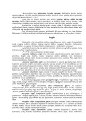 Lietuvių papuošalai IX-XII amžiuje 5 puslapis