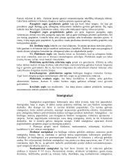 Lietuvių papuošalai IX-XII amžiuje 6 puslapis