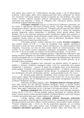 Lietuvių papuošalai IX-XII amžiuje 7 puslapis