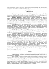 Lietuvių papuošalai IX-XII amžiuje 8 puslapis