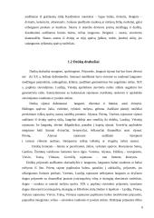 Lietuvių tautiniai kostiumai 6 puslapis