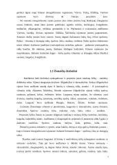 Lietuvių tautiniai kostiumai 7 puslapis