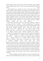 Lietuvių tautiniai kostiumai 8 puslapis