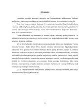 Lietuvių tautiniai rūbai 11 puslapis