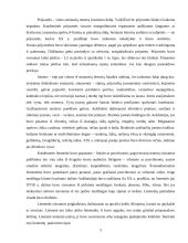 Lietuvių tautiniai rūbai 3 puslapis