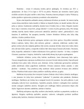 Lietuvių tautiniai rūbai 5 puslapis