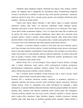 Lietuvių tautiniai rūbai 6 puslapis