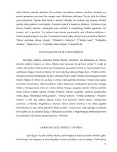 Lietuvių tautos mitologija 11 puslapis