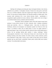 Lietuvių tautos mitologija 13 puslapis