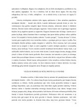 Lietuvių tautos mitologija 8 puslapis