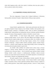 Lietuvos aukštojo mokslo integracija į Europos erdves 10 puslapis