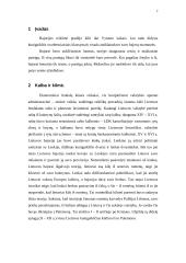 Lietuvos Didžiosios Kunigaikštystės (LDK) dvaro ir didikų kultūra. Jos ypatumai 2 puslapis