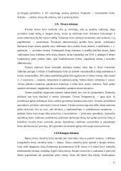 Lietuvos Didžiosios Kunigaikštystės (LDK) teismai, veikę iki XVI amžiaus 10 puslapis