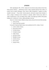 Lietuvos Didžiosios Kunigaikštystės (LDK) teismai, veikę iki XVI amžiaus 2 puslapis