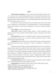 Lietuvos kariuomenė XIII – XV amžiuje 2 puslapis