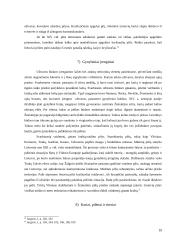 Lietuvos kariuomenė XIII – XV amžiuje 9 puslapis