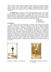 Lietuvos kryždirbystė ir jos unikalumas 2 puslapis