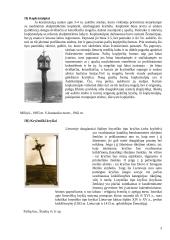 Lietuvos kryždirbystė ir jos unikalumas 3 puslapis